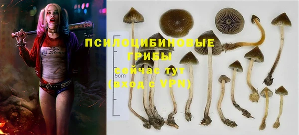 амф Елизово