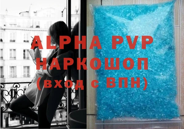 ПСИЛОЦИБИНОВЫЕ ГРИБЫ Ельня