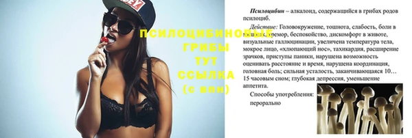 амф Елизово