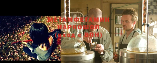 ПСИЛОЦИБИНОВЫЕ ГРИБЫ Ельня