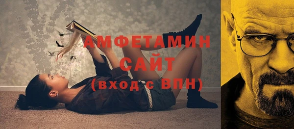 ПСИЛОЦИБИНОВЫЕ ГРИБЫ Ельня
