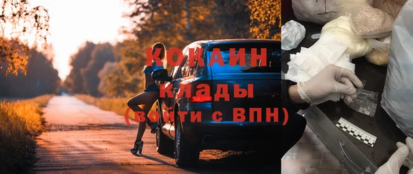 ПСИЛОЦИБИНОВЫЕ ГРИБЫ Ельня