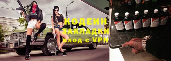 ПСИЛОЦИБИНОВЫЕ ГРИБЫ Ельня