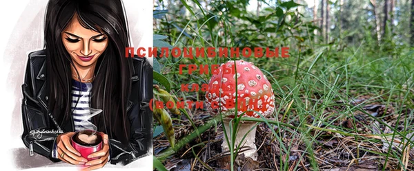 ПСИЛОЦИБИНОВЫЕ ГРИБЫ Ельня