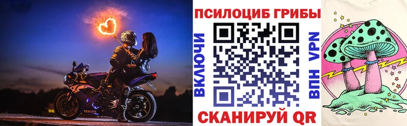 Галлюциногенные грибы Cubensis  Купить  Псков 